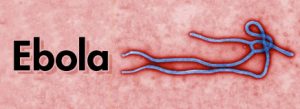 K-ebola-enHD-AR1